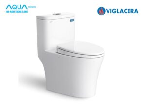 Bệt Viglacera V63